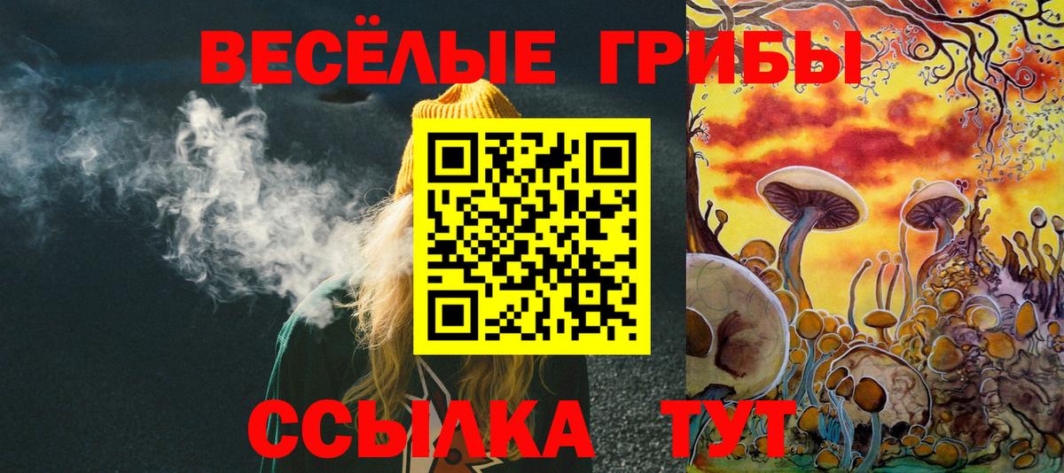 Кызыл  Галлюциногенные грибы GOLDEN TEACHER  Вход с VPN 