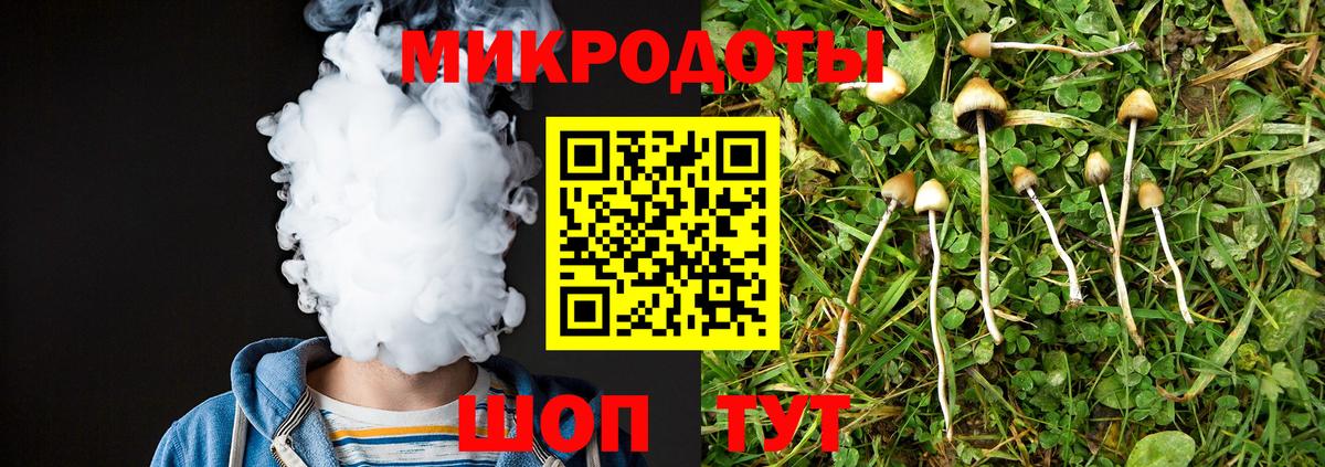 Псилоцибиновые грибы GOLDEN TEACHER Кызыл