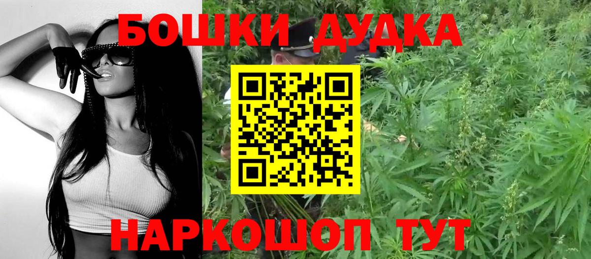 Бошки Шишки марихуана  Каннабис планчик  Канабис план  Кызыл  Вход с VPN  МАРИХУАНА сатива 